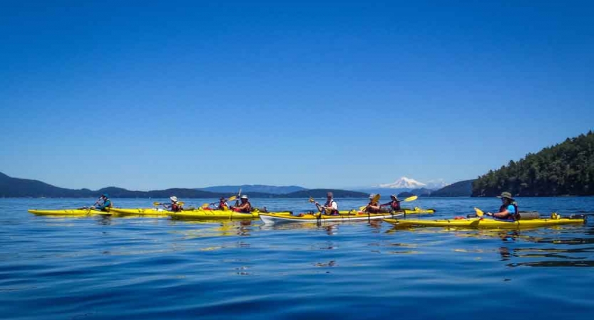 a line of yellow kayaks paddle on calm blue water on an outward bound trip